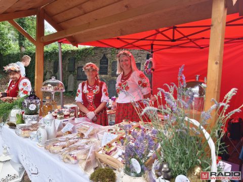 Wielkie świerzawskie Święto Krainy Wygasłych Wulkanów - 3