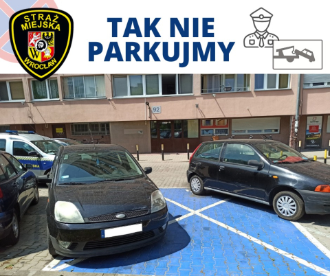 Straż Miejska nie próżnuje – wystawia nawet 70 mandatów dziennie - 1