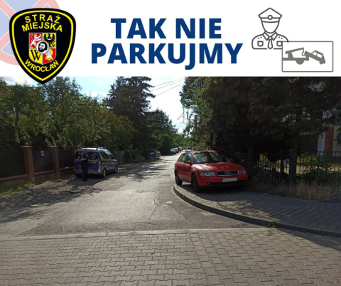 Straż Miejska nie próżnuje – wystawia nawet 70 mandatów dziennie - 2