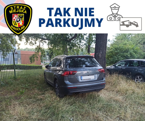 Straż Miejska nie próżnuje – wystawia nawet 70 mandatów dziennie - 3