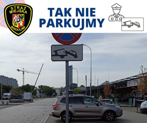 Straż Miejska nie próżnuje – wystawia nawet 70 mandatów dziennie - 4