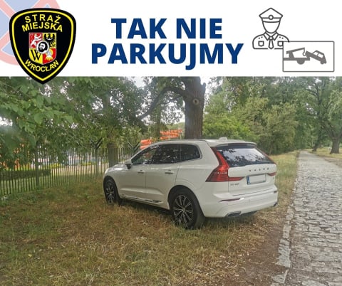 Straż Miejska nie próżnuje – wystawia nawet 70 mandatów dziennie - 5