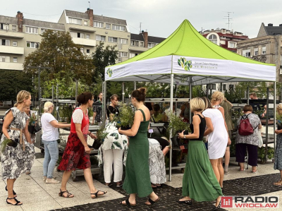 Plac Nowy Targ w końcu jest zielony
