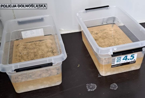 Policja przejęła narkotyki o wartości 7,5 mln zł - 2