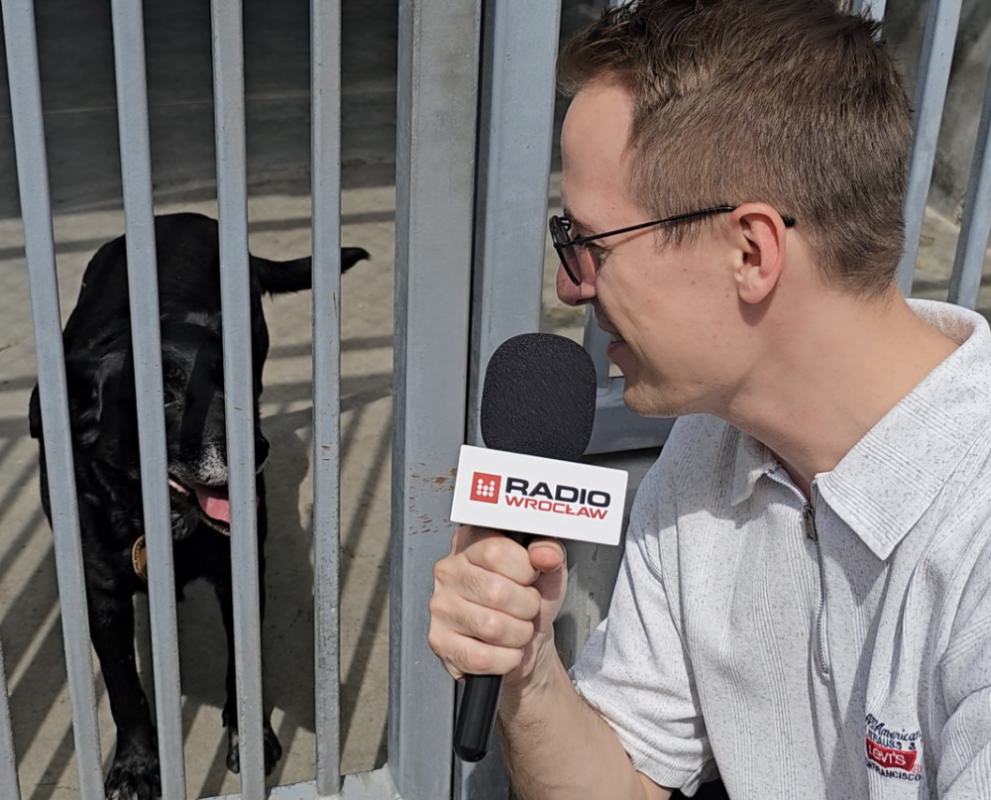 Radio Wrocław pomaga czworonogom z wrocławskiego schroniska znaleźć nowe domy – fot. RW