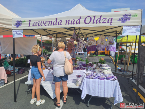 DRJ: 22. Wystawa pod Śnieżką - święto regionalnych produktów - 3