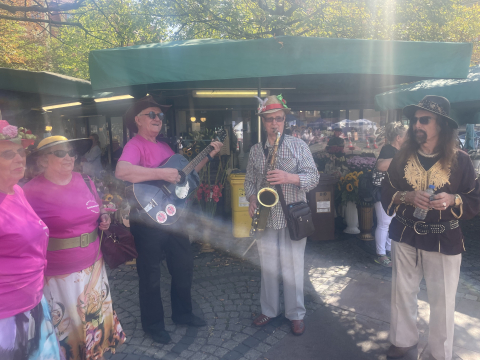Na wrocławskim rynku wystartowały obchody XV Dni Seniora - 8