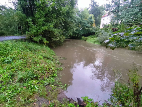 Kąty Wrocławskie: alarm przecipowodziowy - 4