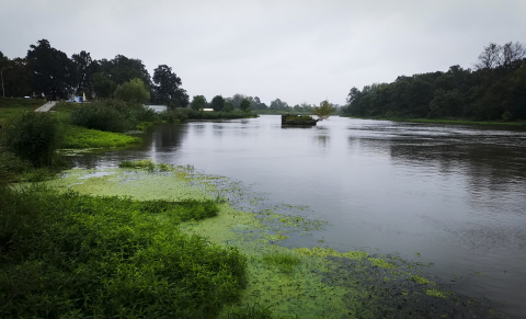 Wrocław. Sytuacja hydrologiczna jest stabilna [RAPORT]  - 5