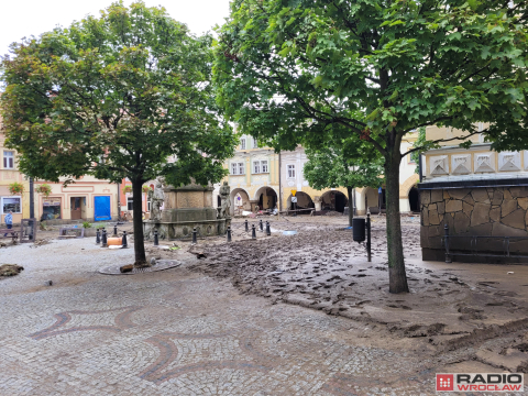 Zrujnowane wsie i miasta. Tu żywioł uderzył z ogromną siłą [ZDJĘCIA] - 13
