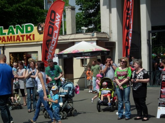Przed Nowym Brzmieniem Perfectu - 13