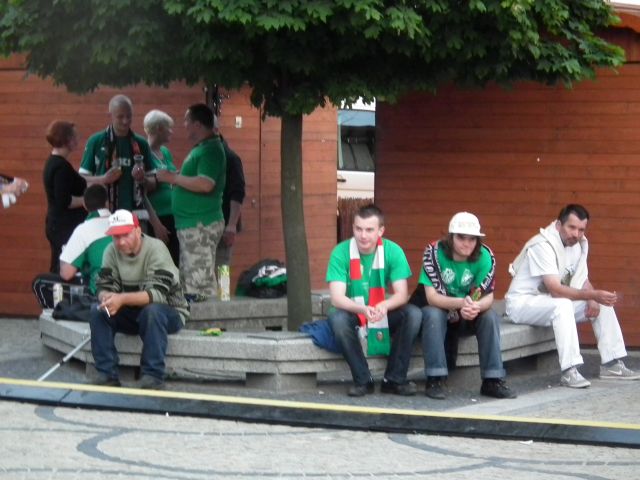 Rynek zielony od szalików - 16