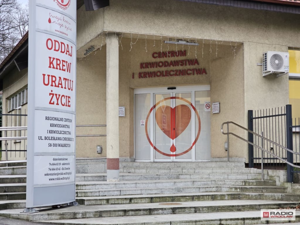 "Choinka dla życia". Oddaj krew i otrzymaj świąteczne drzewko – W środę za oddanie krwi możemy otrzymać choinkę. Fot. Bartosz Szarafin