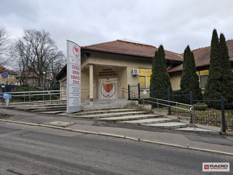 "Choinka dla życia". Oddaj krew i otrzymaj świąteczne drzewko - 1
