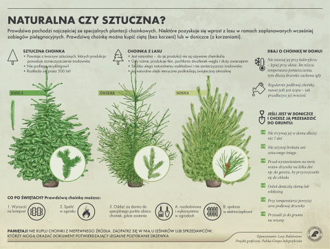 "Choinka dla życia". Oddaj krew i otrzymaj świąteczne drzewko - 2