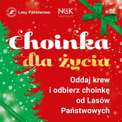 "Choinka dla życia". Oddaj krew i otrzymaj świąteczne drzewko - 3