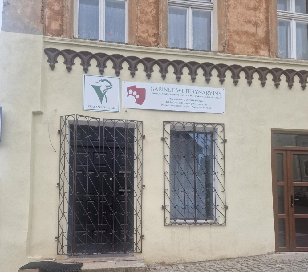 Czarne chmury nad DIOZ-em. Dotarliśmy do osób, które miały być świadkami stosowanych przez organizację praktyk - Konrad Kuźmiński, prezes Dolnośląskiego Inspektoratu Ochrony Zwierząt, zapewnia, że kontrole nie mogą wykazać nieprawidłowości, bo takich w DIOZ-ie nie ma. Fot użyczone 