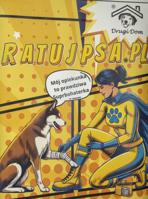 Pierwsza pomoc dla... czworonoga. Uczą młodzież, jak pomóc rannemu zwierzęciu - 1