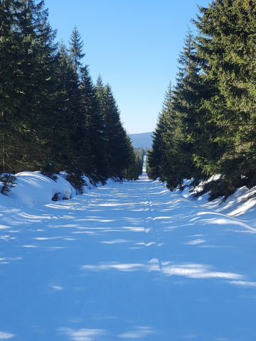 49 Bieg Piast&oacute;w. Jaka jest obecnie pogoda na biegowych trasach?