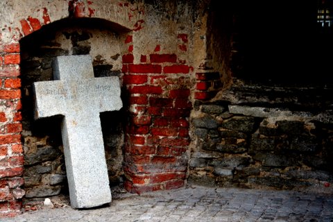Żórawina powalczy o UNESCO (Zobacz) - 10