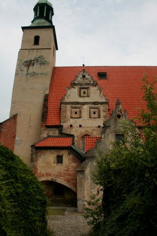 Żórawina powalczy o UNESCO (Zobacz) - 8