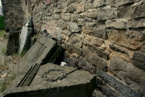 Żórawina powalczy o UNESCO (Zobacz) - 14