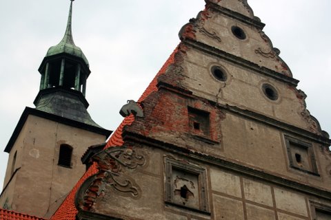 Żórawina powalczy o UNESCO (Zobacz) - 6
