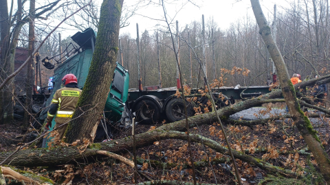 Ciężarówka wypadła z drogi i uderzyła w drzewa. Poważny wypadek w powiecie lwóweckim [ZDJĘCIA] - 3