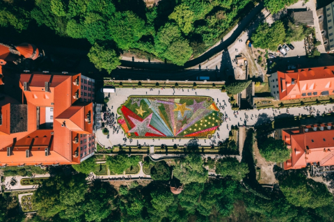 Dolnośląski Rozkład Jazdy: 35. Festiwal Kwiatów i Sztuki w Zamku Książ - 1