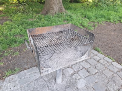 Grill na maj&oacute;wkę to już tradycja. Jak uniknąć mandatu w czasie relaksu na łonie natury?