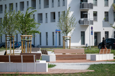 Skwer Scharouna na Nowych Żernikach pięknieje. Zobacz, jak wygląda to miejsce [ZDJĘCIA] - 2