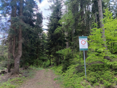 Z las&oacute;w znikną szlabany. To efekt nowych przepis&oacute;w