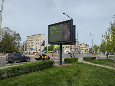 Kontrowersyjny billboard nadal świeci. Właściciel reklamy wciąż nie przesunął nośnika