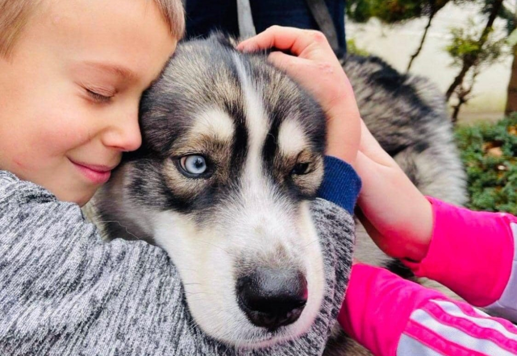 Dolnośląskie husky odwiedzają domy dziecka w całej Polsce. Wystarczy wysłać maila! – Trwa akcja „Husky Dzieciom”. Fot. Kalevala (Facebook)
