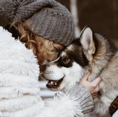 Dolnośląskie husky odwiedzają domy dziecka w całej Polsce. Wystarczy wysłać maila! - 0