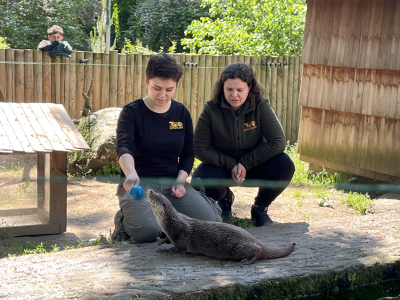 Nowe pokazy we wrocławskim zoo. Sprawdź, które zwierzęta możesz zobaczyć podczas karmienia - 3