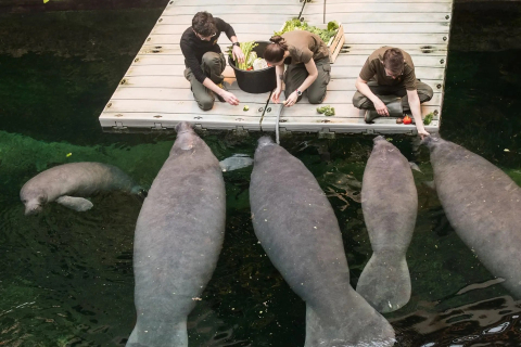 Nowe pokazy we wrocławskim zoo. Sprawdź, które zwierzęta możesz zobaczyć podczas karmienia - 1