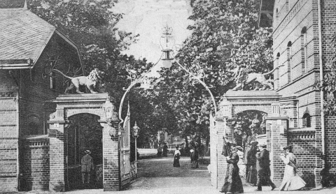 Wrocławskie zoo prosi o archiwalne zdjęcia. Powstanie wielki kolaż. "Im starsze, tym lepiej" - 1