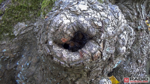 Nie wiesz, gdzie leżą wulkany? Geopark pokaże Ci drogę - 12