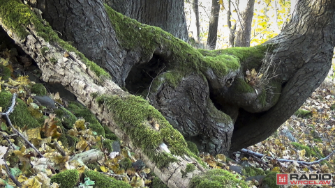 Nie wiesz, gdzie leżą wulkany? Geopark pokaże Ci drogę - 4