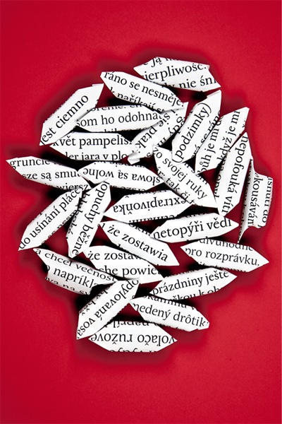 Festiwal literacki -