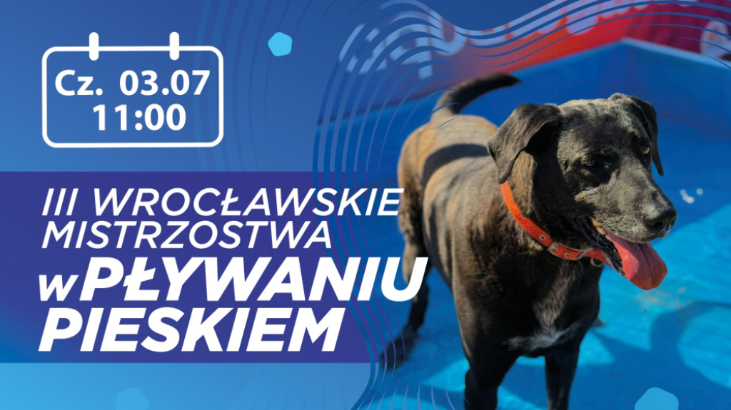 III. Wrocławskie Mistrzostwa w Pływaniu Pieskiem - materiał prasowy
