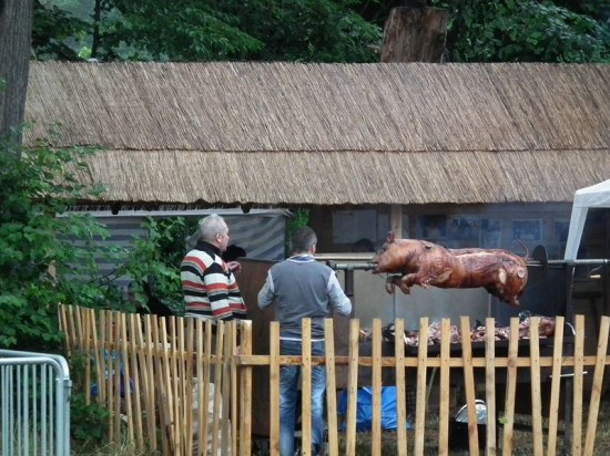 DRJ na Święcie Pecenicy  - 14