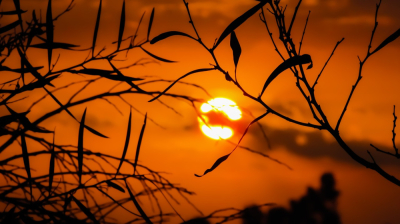 Ostatni dzień upał&oacute;w na Dolnym Śląsku. IMGW ostrzega przed wysoką temperaturą