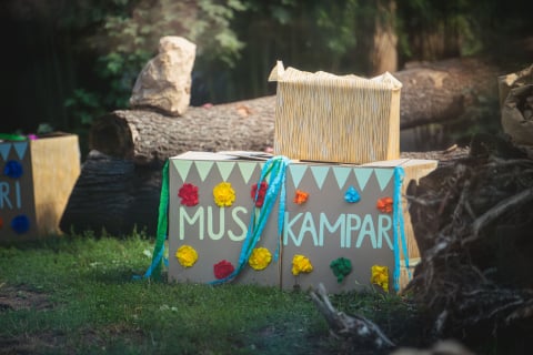 Tygrysie czworaczki kończą rok! Huczna impreza urodzinowa w ZOO Wrocław - 0