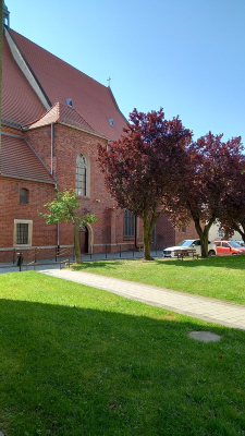 Jaka przyszłość czeka punktowce w Lubinie? Urzędnicy chcą wyburzyć, mieszkańcy walczą o ich zachowanie - 2