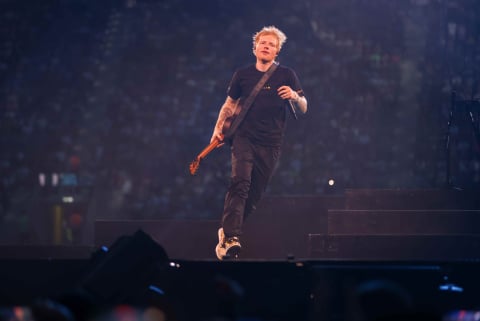 Te wrocławskie atrakcje pękały w szwach w długi weekend. Ed Sheeran i Zoo Wrocław rozbili bank! - 0