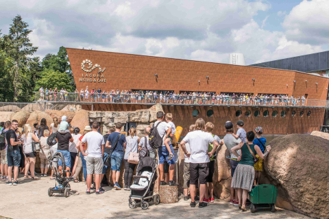 Te wrocławskie atrakcje pękały w szwach w długi weekend. Ed Sheeran i Zoo Wrocław rozbili bank! - 3