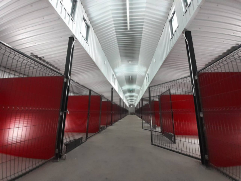 Nowe schronisko w Wałbrzychu coraz bliżej. Trafią do niego zwierzęta z nawet 25 gmin - 2