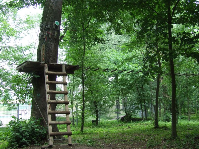 Park linowy znika z wyspy (ZOBACZ) - 14